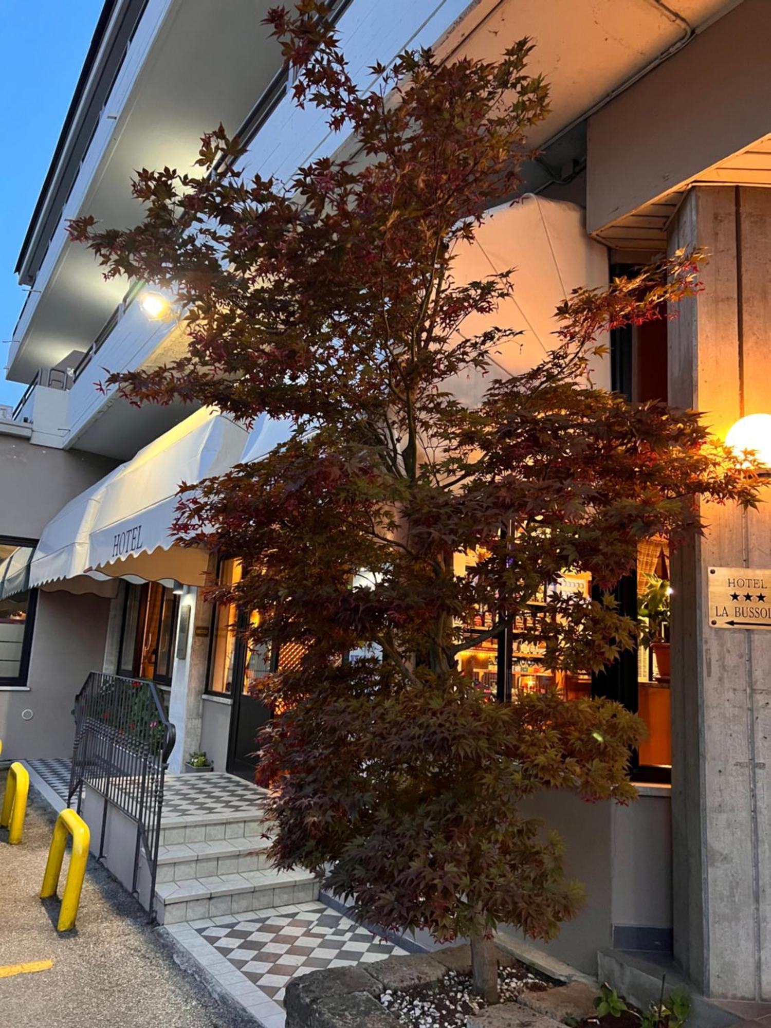 Hotel La Bussola Padenghe sul Garda Bagian luar foto